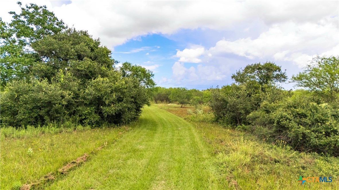 Nursery, Texas, 77976, United States, ,Land,For Sale,1885536