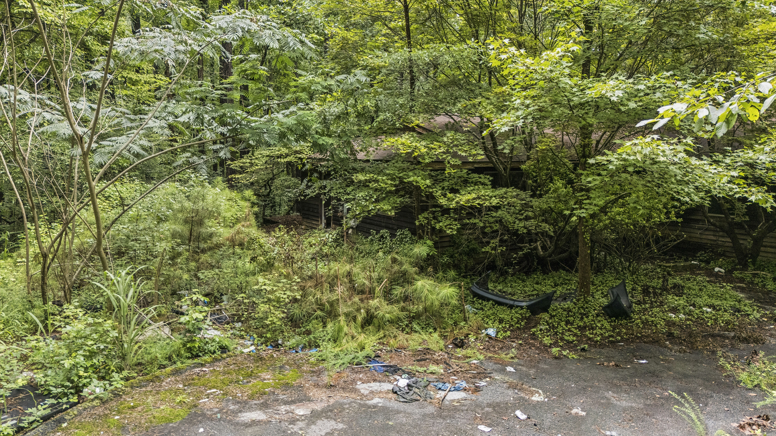 Incredible Opportunity on Over Ten Acres in Prime Stockbridge Location - 物件實景