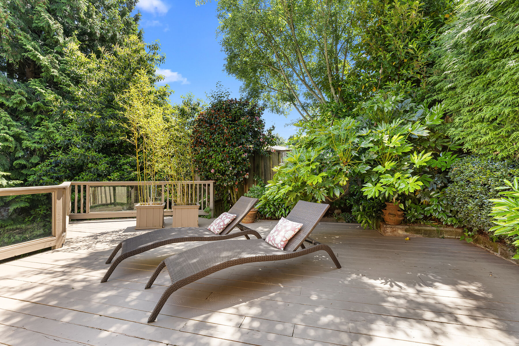  Chic Cordova Bay Home - 物件實景