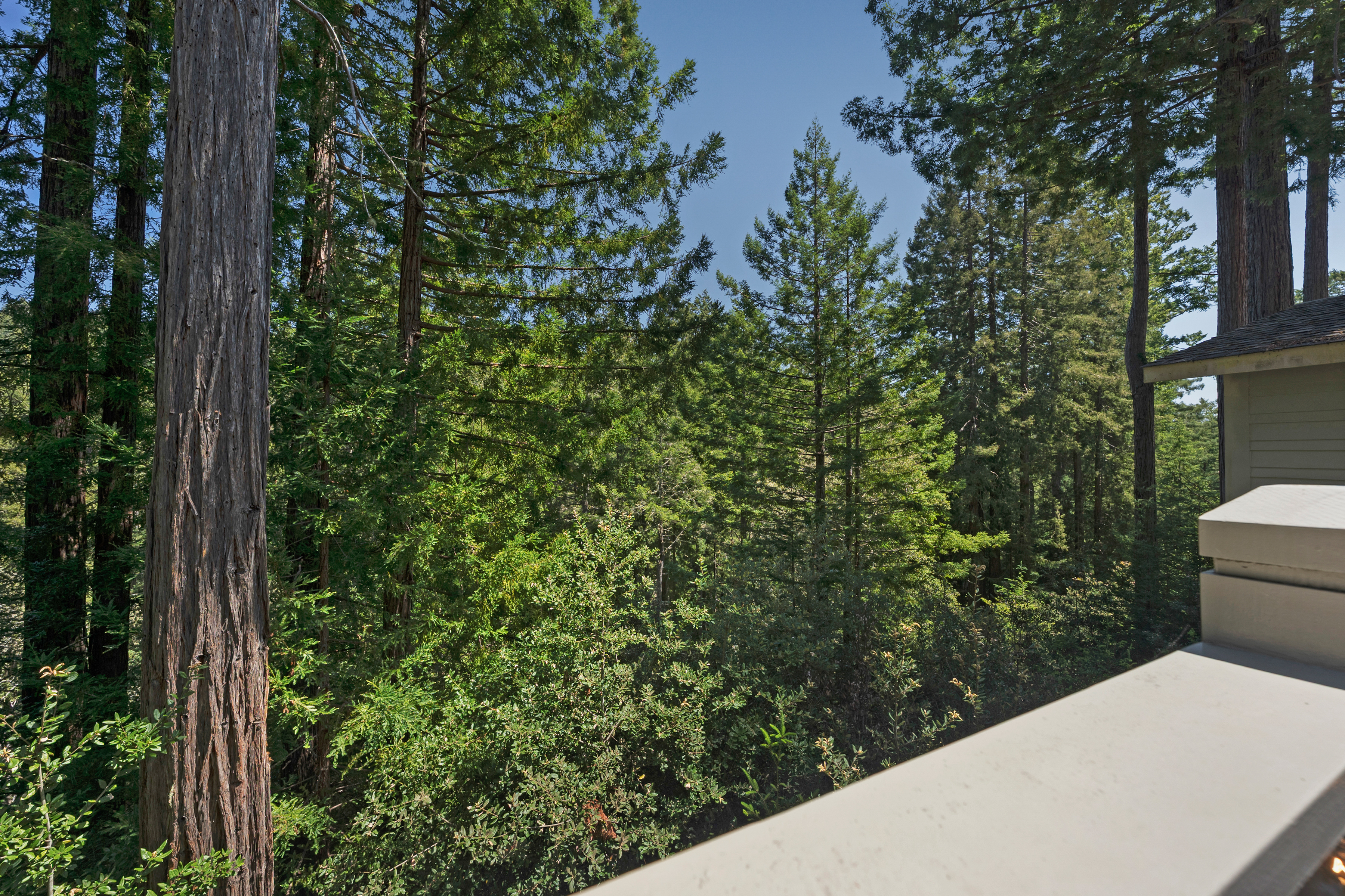  21995-21997 Ansel Court, Jenner, CA 95450 - 物件實景