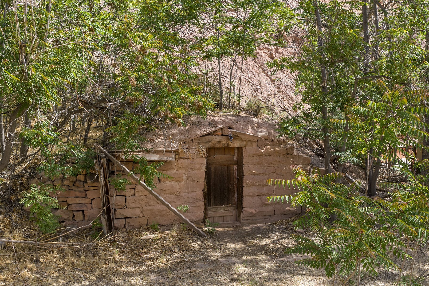  Fixer-Upper Opportunity - Priced to Sell - 物件實景