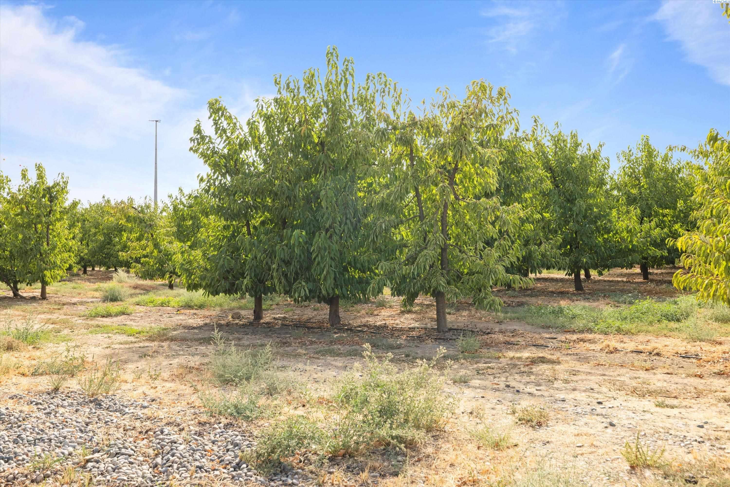 Benton City, Washington, 99320, United States, 3 Bedrooms Bedrooms, ,2 BathroomsBathrooms,Residential,For Sale,1998033
