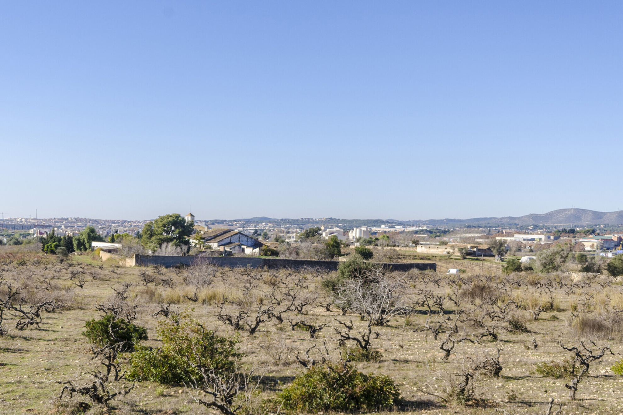  Masia with Vineyards and 3.13 Hectares in Vilanova i la Geltrú - 物件實景
