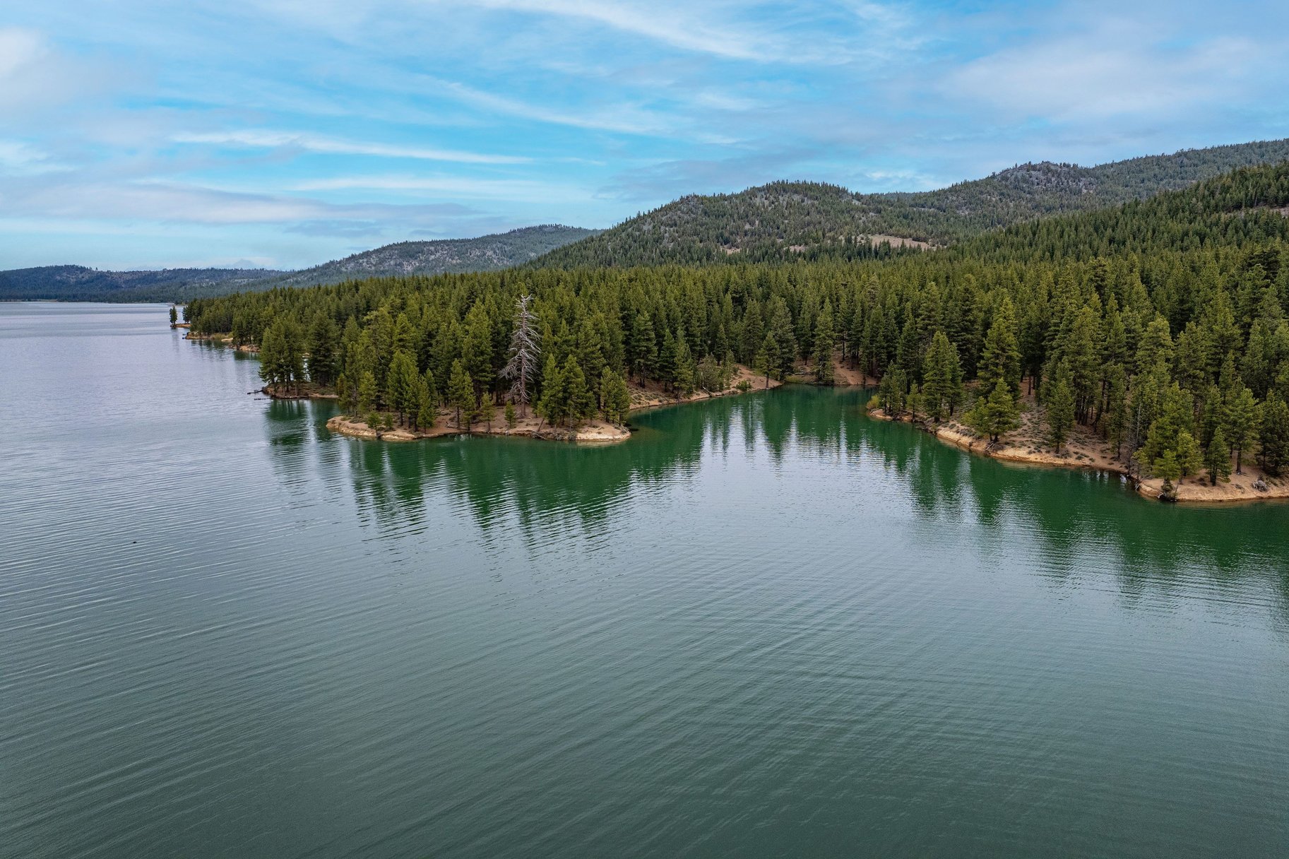  Cozy Cabin near Lake Davis - 物件實景