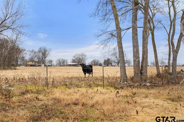 Van, Texas, 75790, United States, ,Land,For Sale,1981017