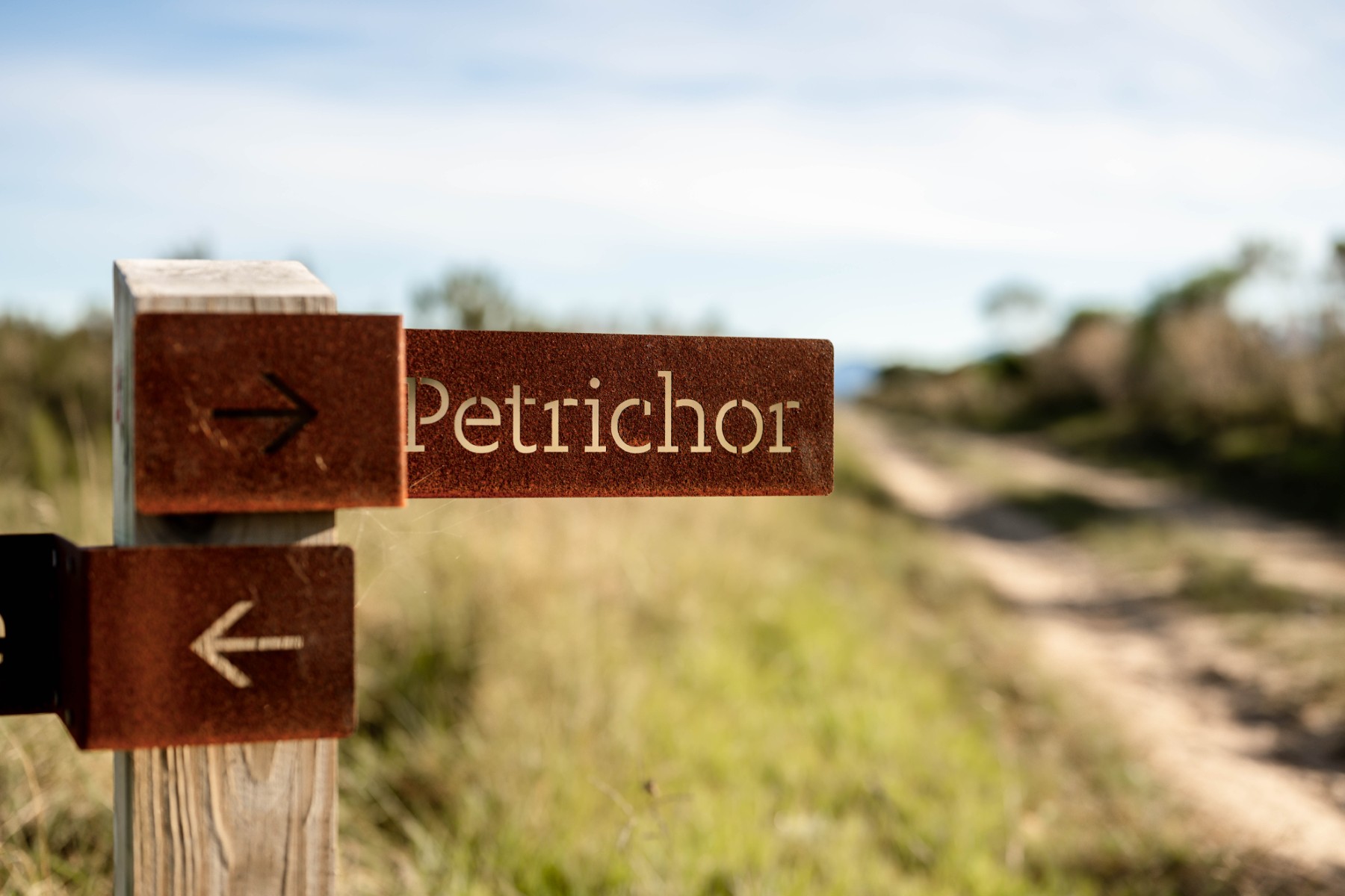  Petrichor - 物件實景