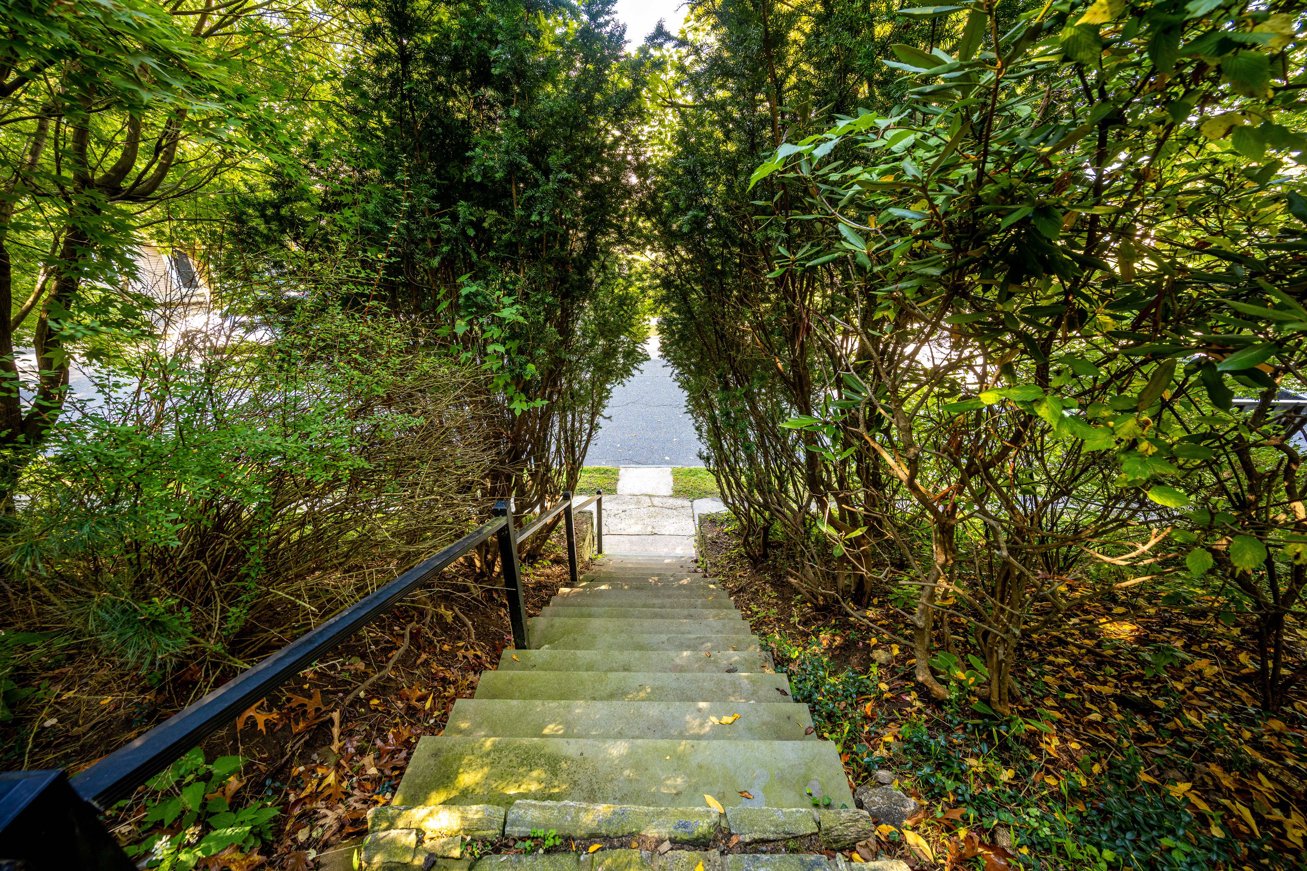  42 Southlawn Avenue - 物件實景
