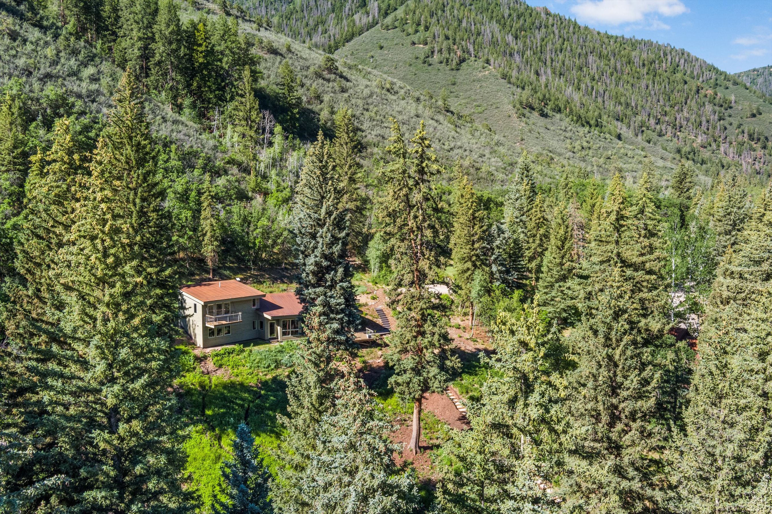 768 Kings Lake Road, Basalt, CO 81621 - 物件實景