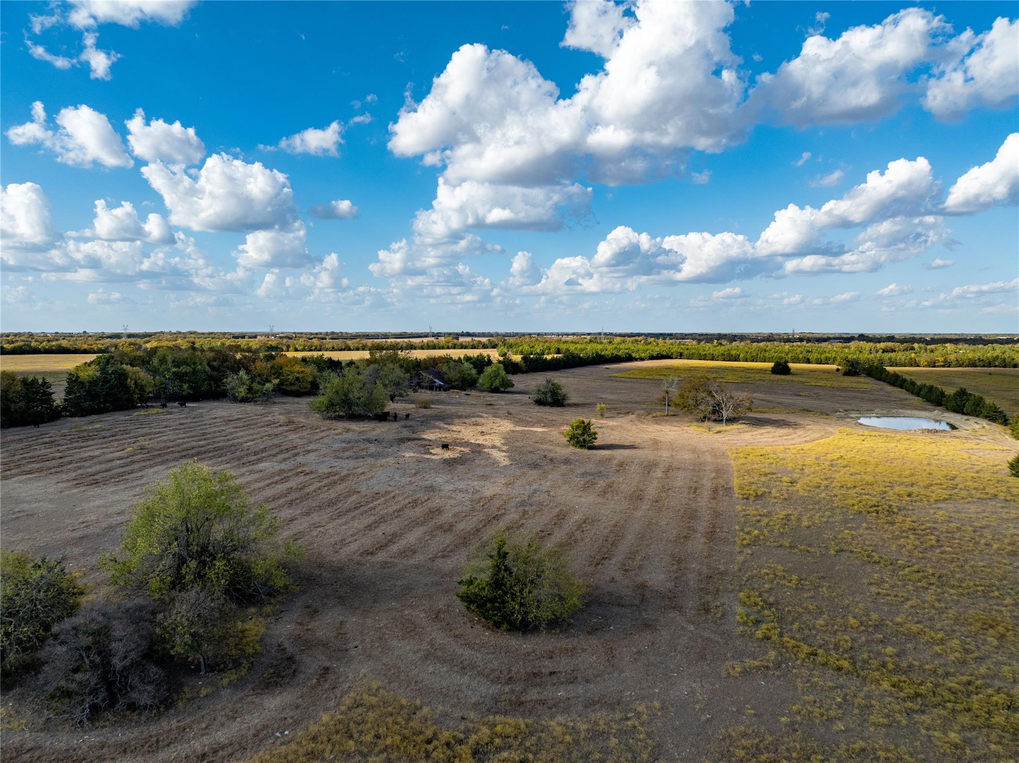 Brookston, Texas, 75421, United States, ,Residential,For Sale,1842459