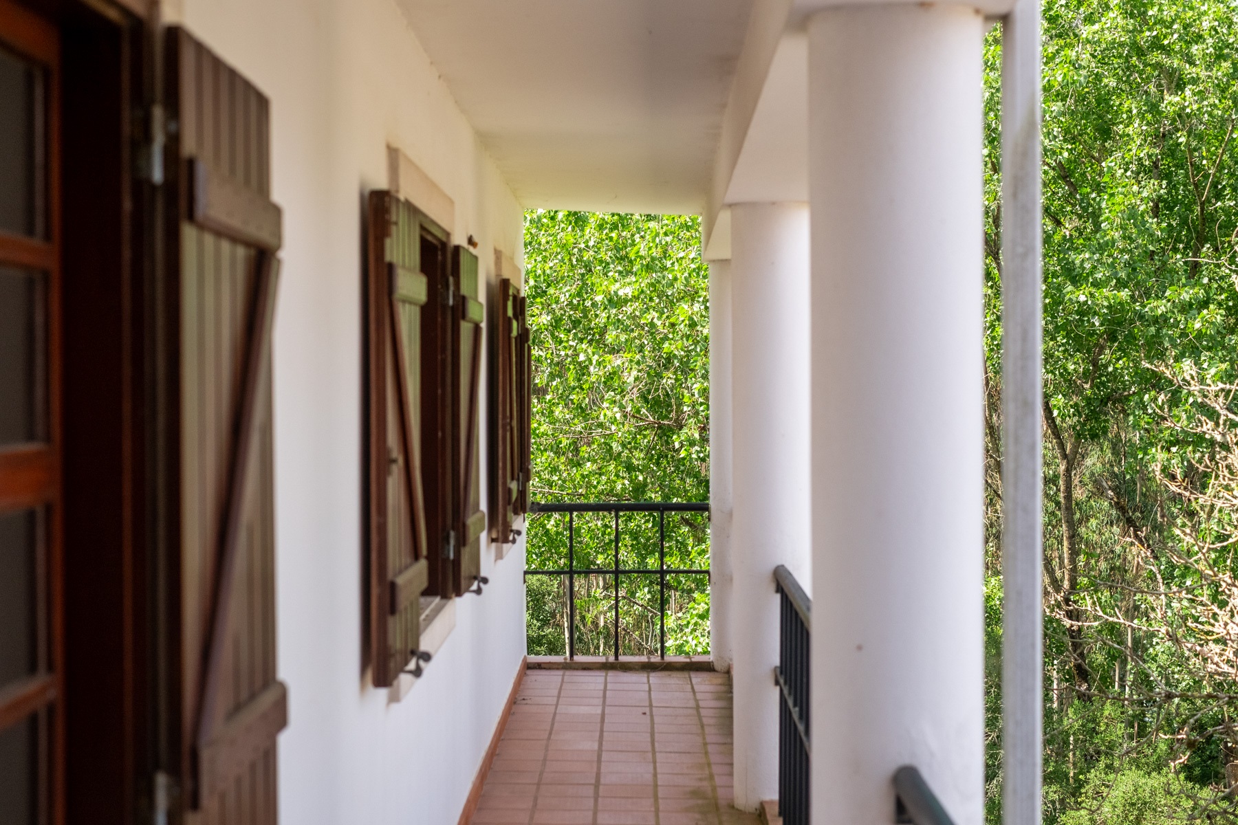  Country Estate, 15 bedrooms, for Sale - 物件實景