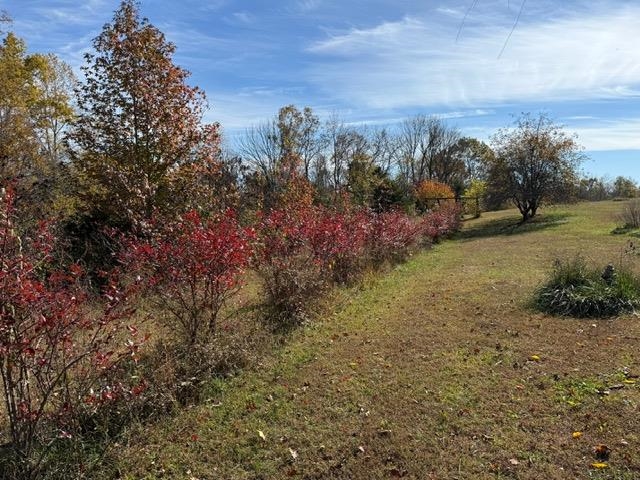 Willow Shade, Kentucky, 42166, United States, 3 Bedrooms Bedrooms, ,2 BathroomsBathrooms,Residential,For Sale,1991903