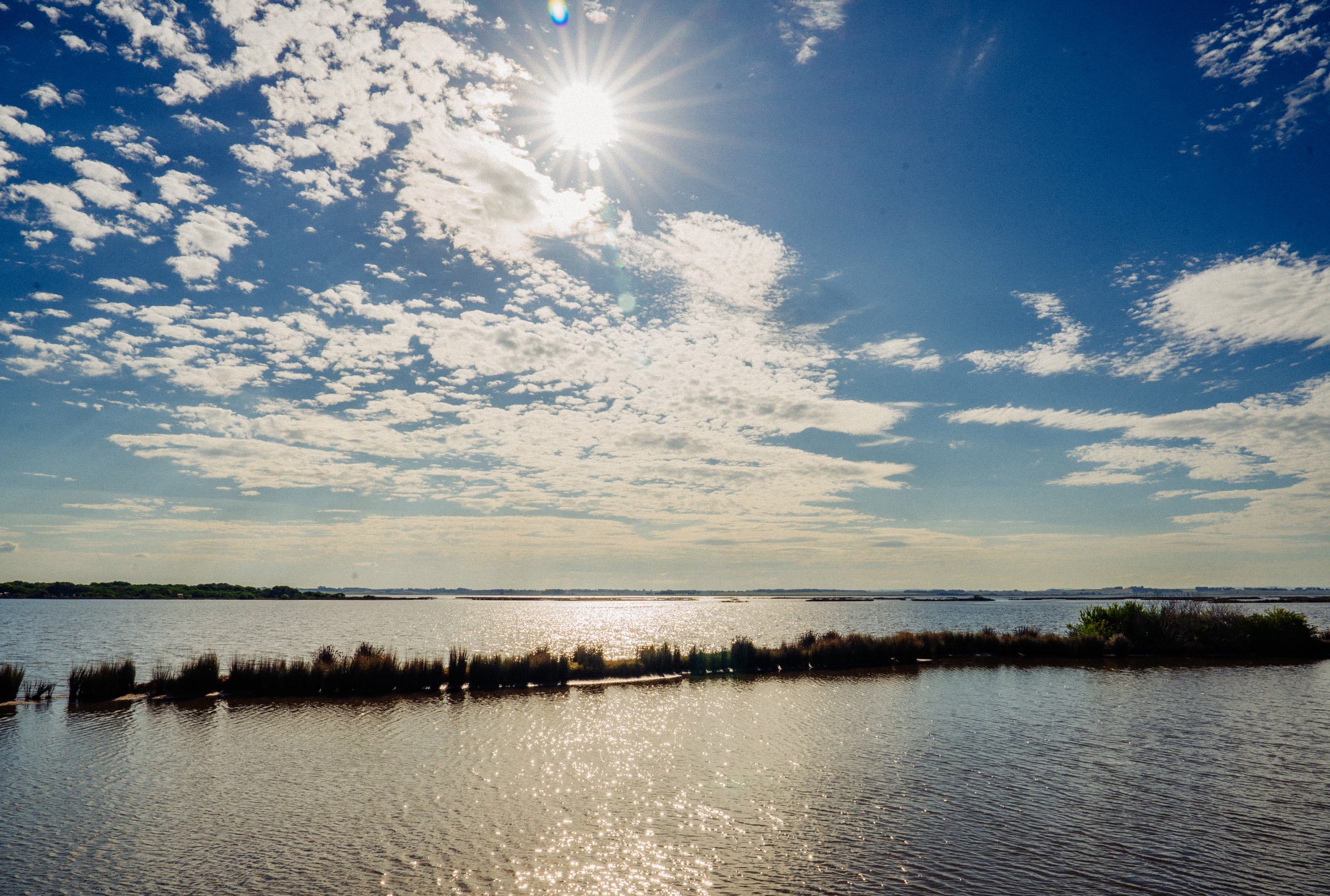  Dream house in Laguna José Ignacio - 物件實景