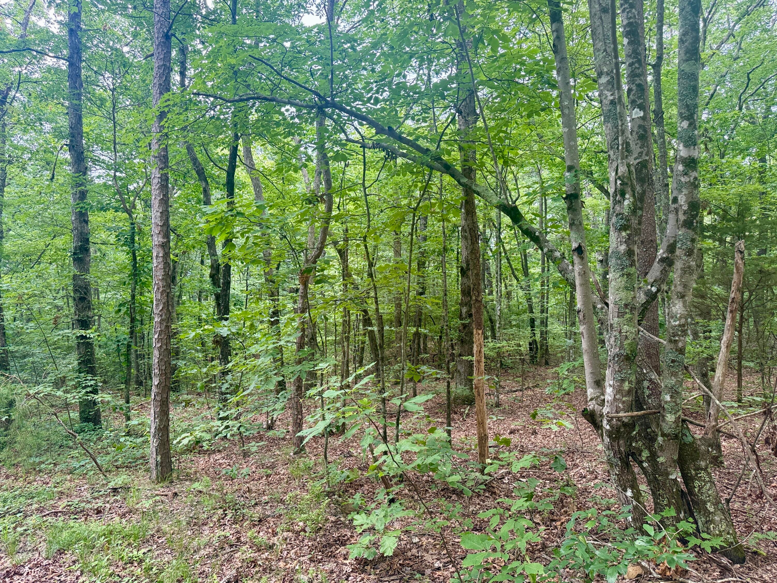 Dunlap, Tennessee, 37327, United States, ,Land,For Sale,1877286