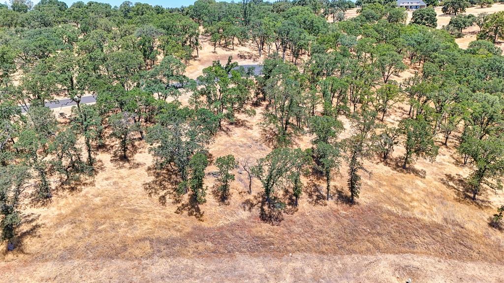 El Dorado Hills, California, 95762, United States, ,Land,For Sale,1874458