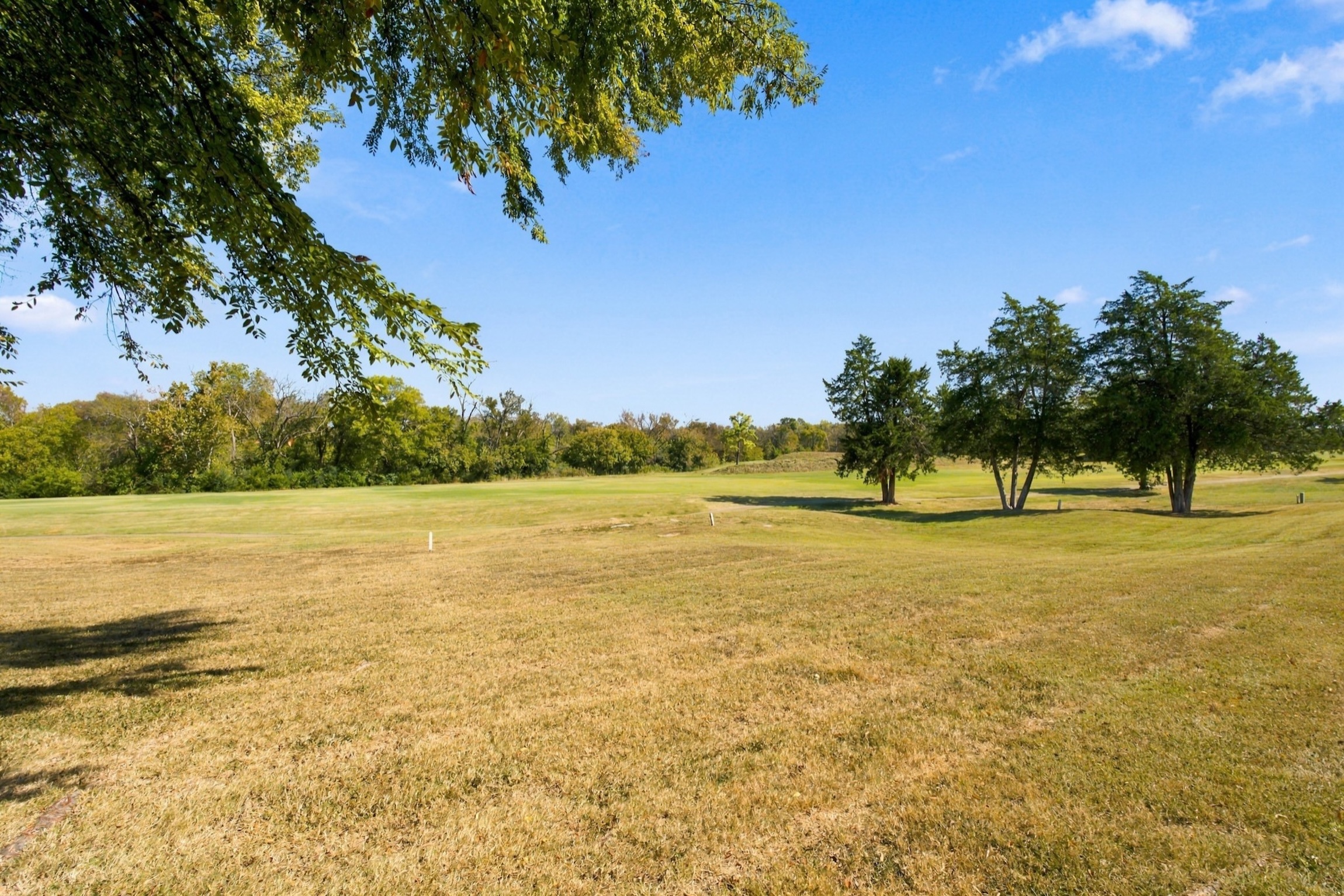  319 Calumet Trace, Murfreesboro, TN, 37127 - 物件實景
