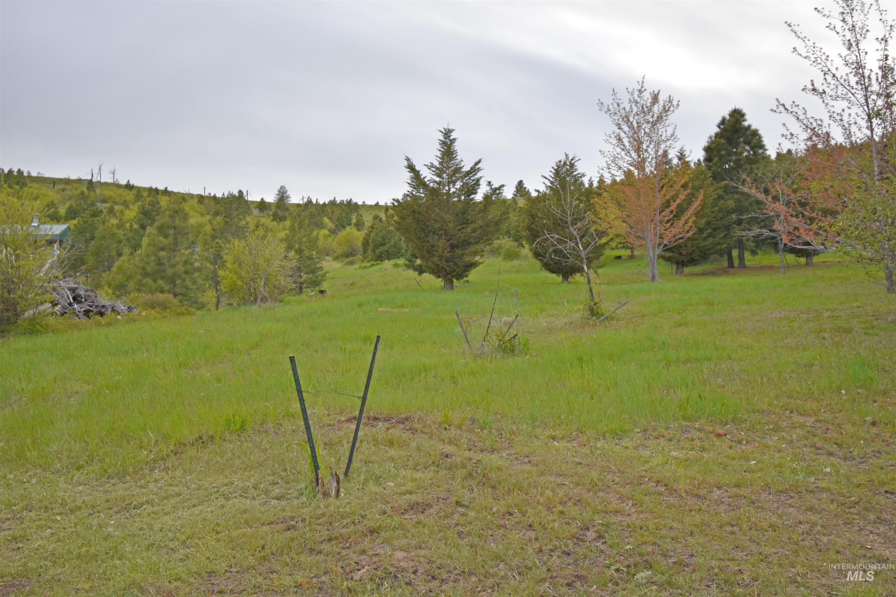 Pomeroy, Washington, 99347, United States, 3 Bedrooms Bedrooms, ,2 BathroomsBathrooms,Residential,For Sale,1978313