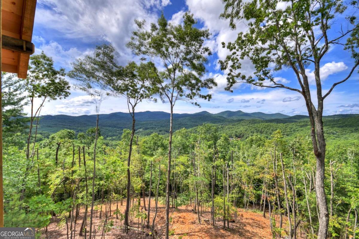 Mineral Bluff, Georgia, 30559, United States, 4 Bedrooms Bedrooms, ,4 BathroomsBathrooms,Residential,For Sale,1876887