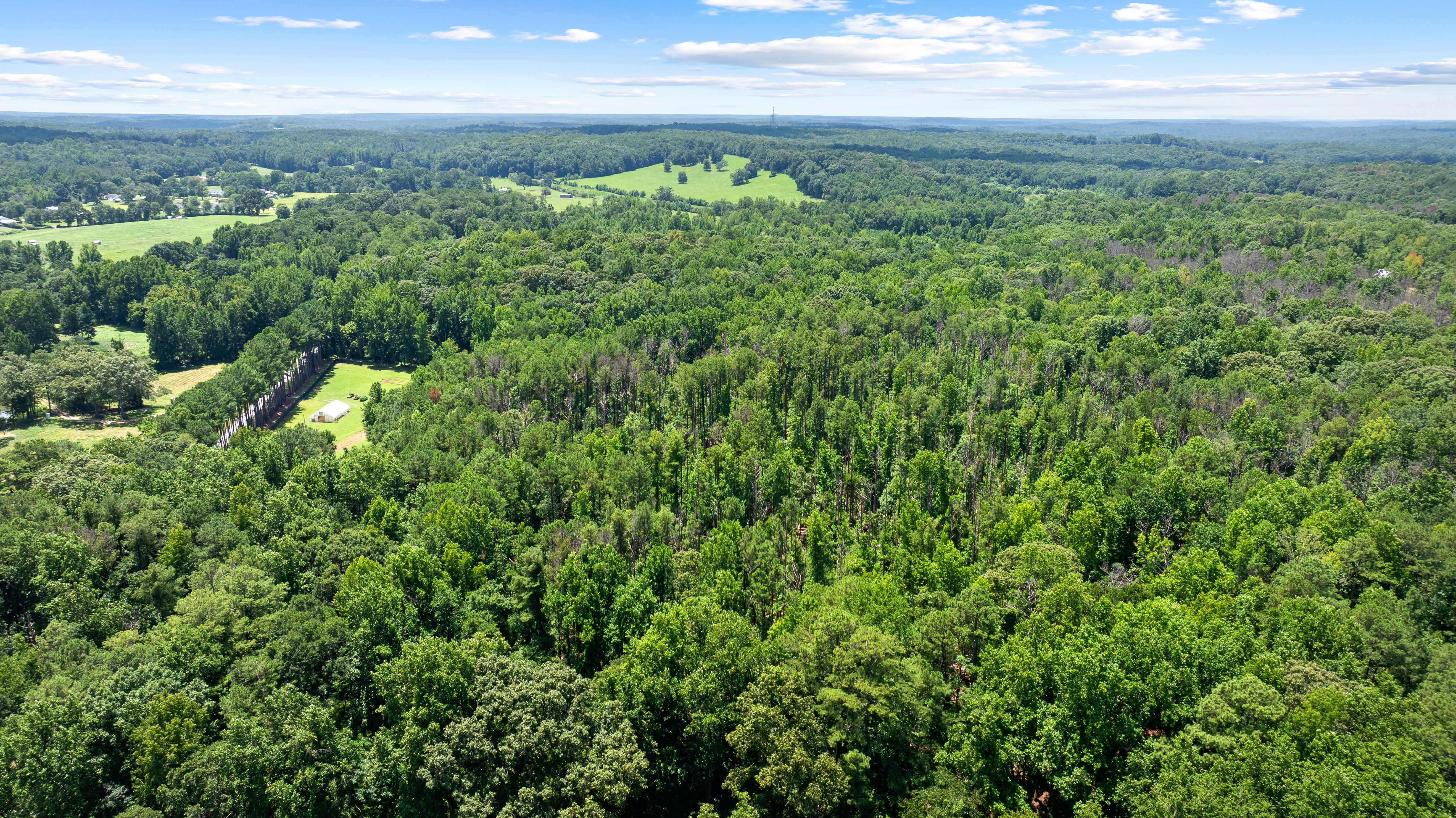  52 +/- Acres of Working Land and Quiet Woods - 物件實景