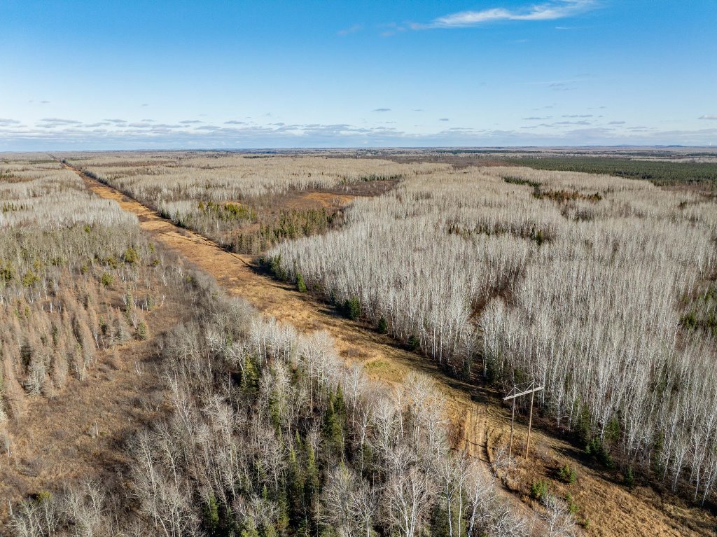 Grand Rapids, Minnesota, 55744, United States, ,Land,For Sale,1983791