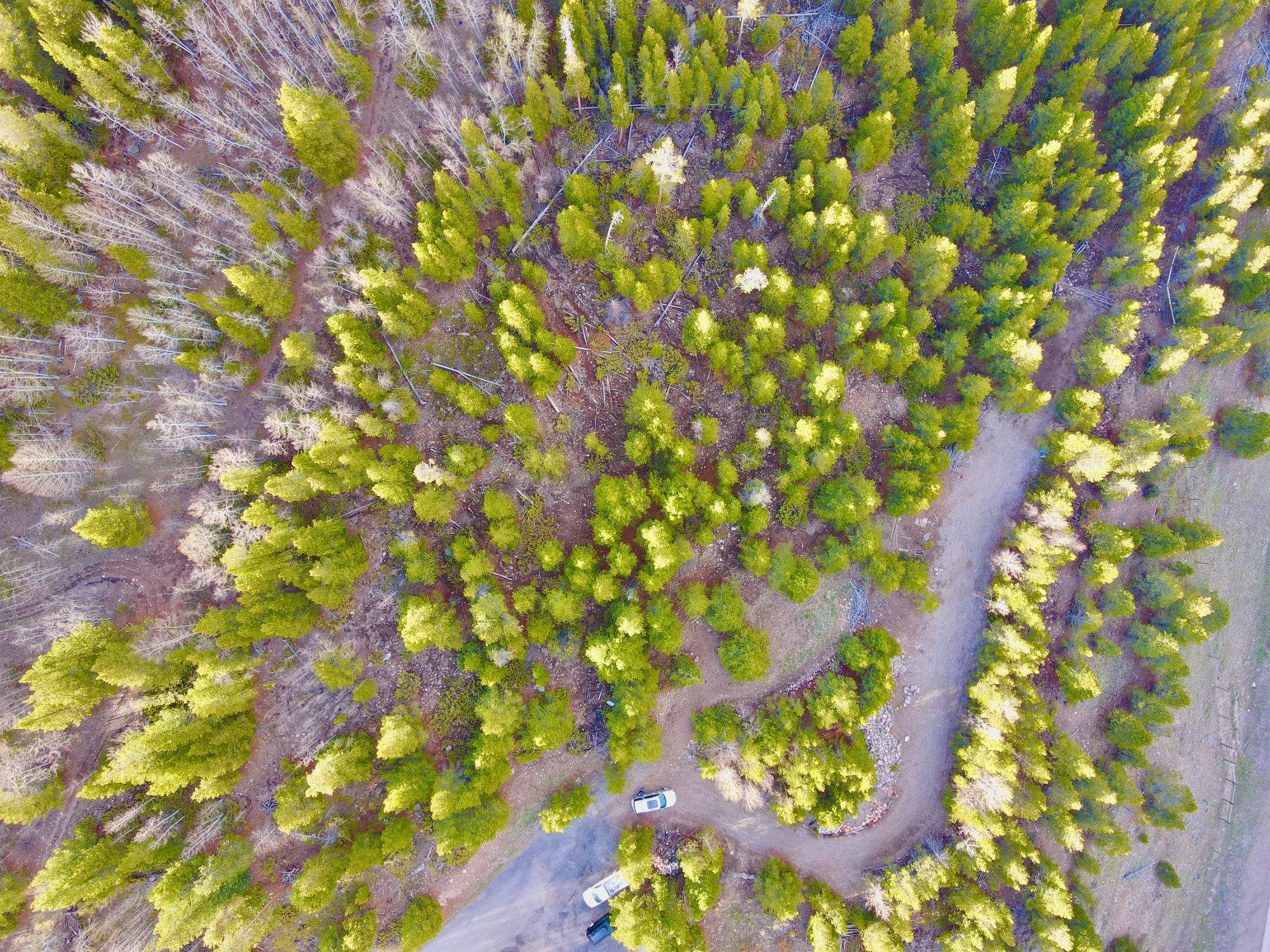  Giberson Preserve Lot 9 - 物件實景