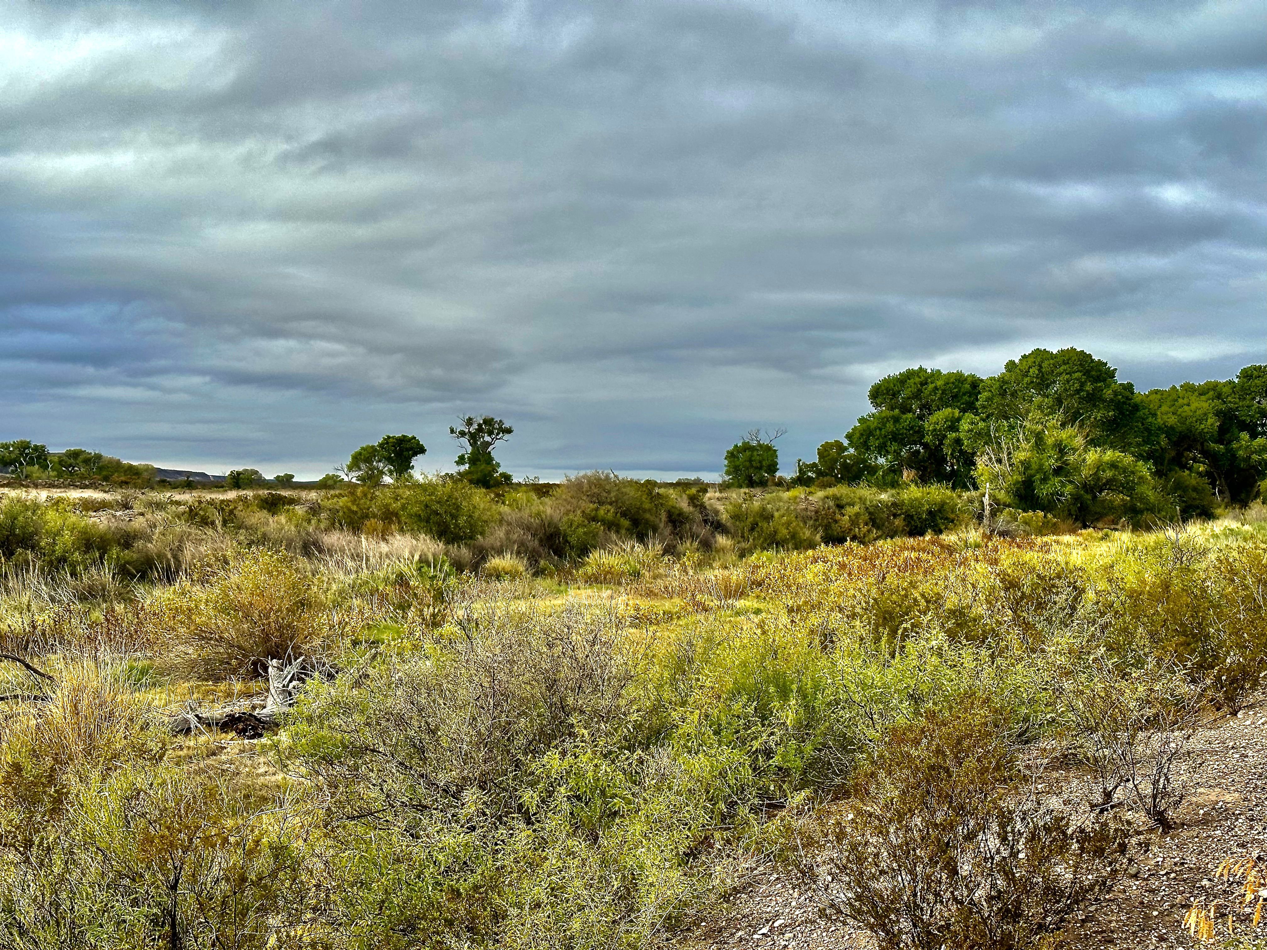  The Alamito Ranch in Presidio County - 物件實景