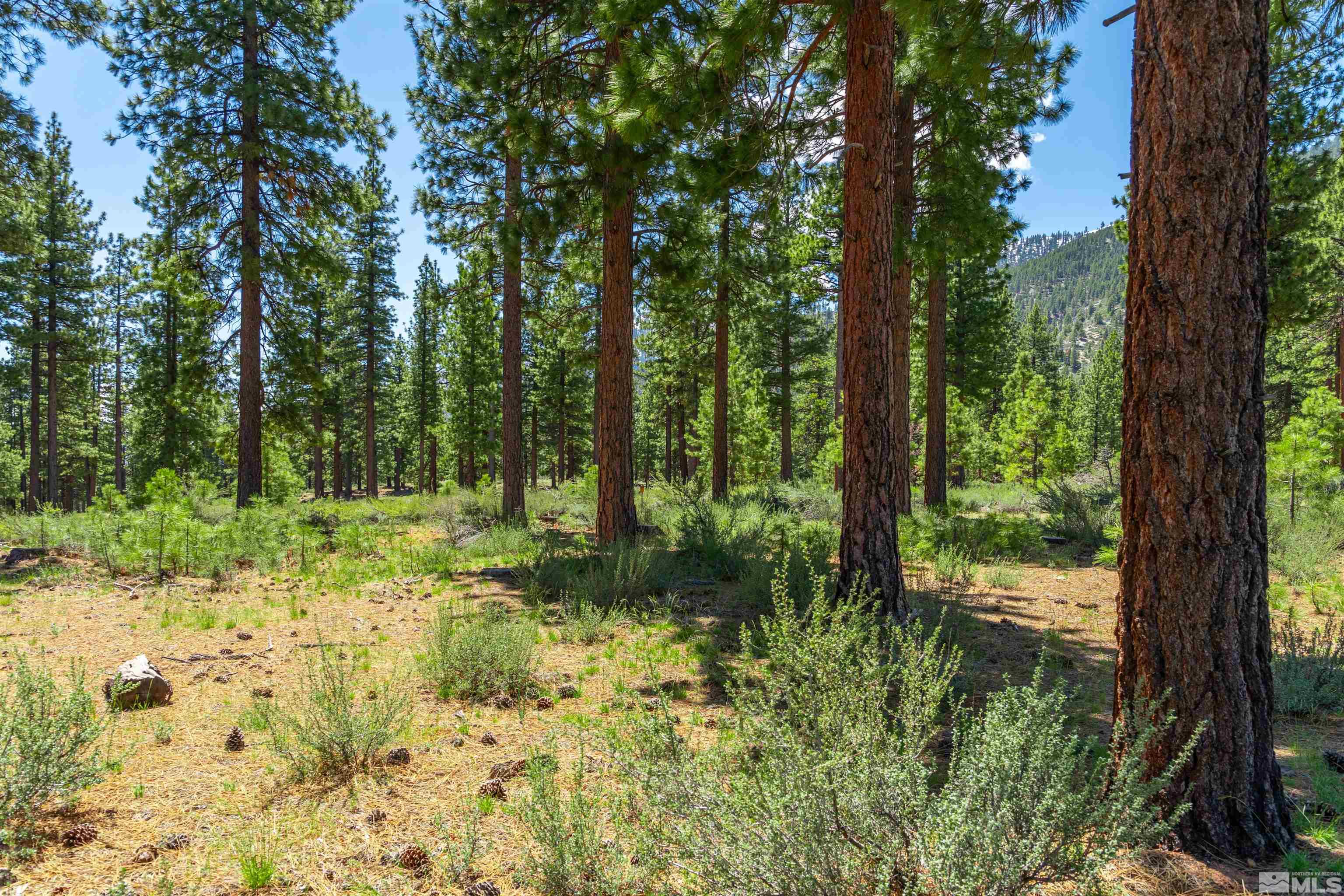 Carson City, Nevada, 89705, United States, ,Land,For Sale,1826407