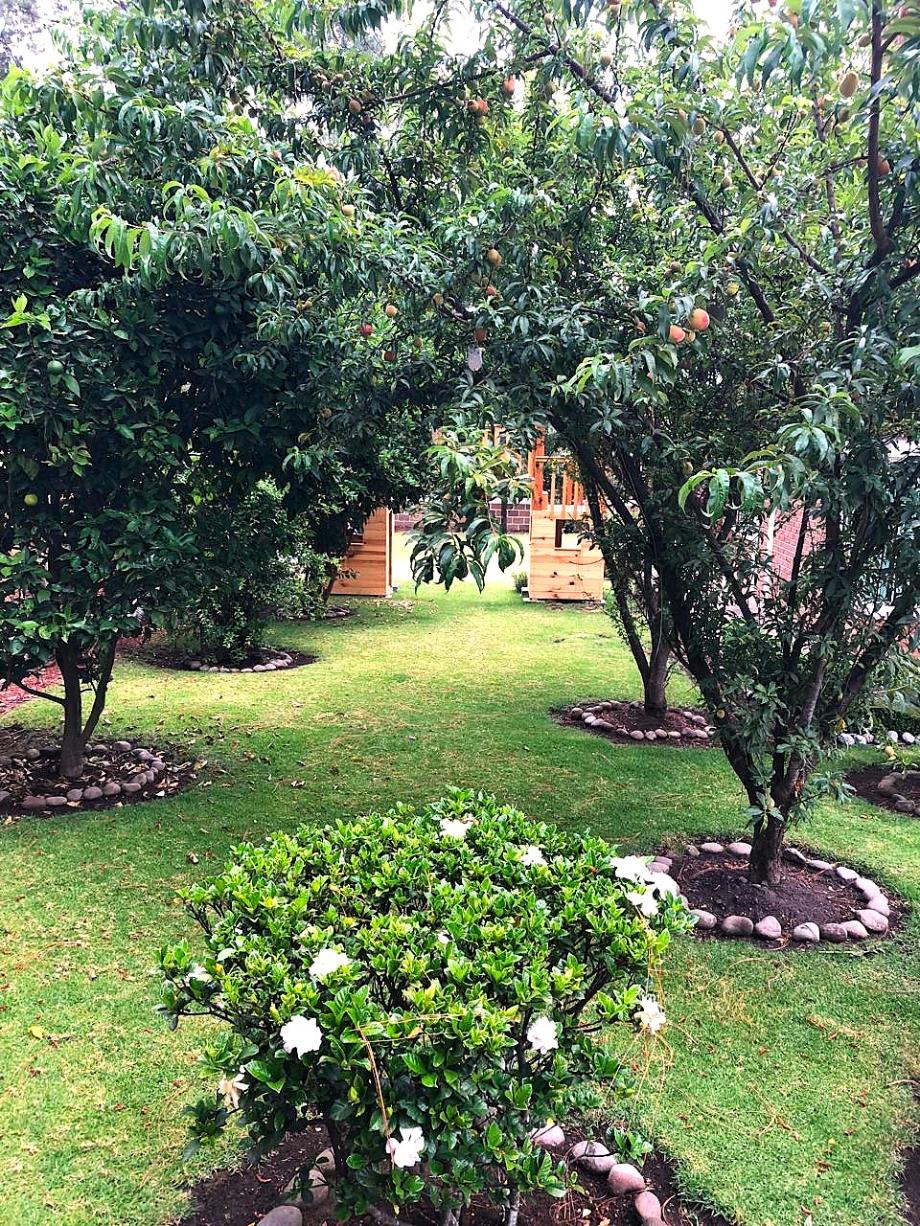Valle de Bravo, Estado de México, 51200, Mexico, 4 Bedrooms Bedrooms, ,6 BathroomsBathrooms,Residential,For Sale,1721282