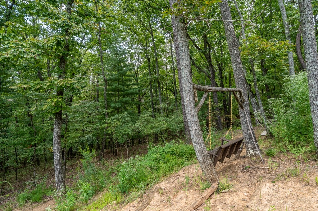 Talking Rock, Georgia, 30175, United States, 3 Bedrooms Bedrooms, ,2 BathroomsBathrooms,Residential,For Sale,1972069