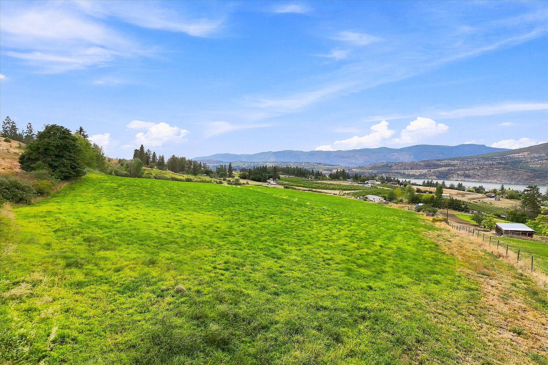  Productive Farmland in Oyama - 物件實景