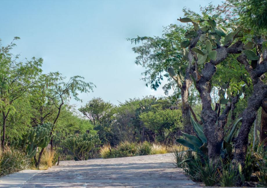 Los Sagrados, San Miguel de Allende, Guanajuato, 37888, Mexico, 1 Bedroom Bedrooms, ,Residential,For Sale,Los Sagrados,1557488