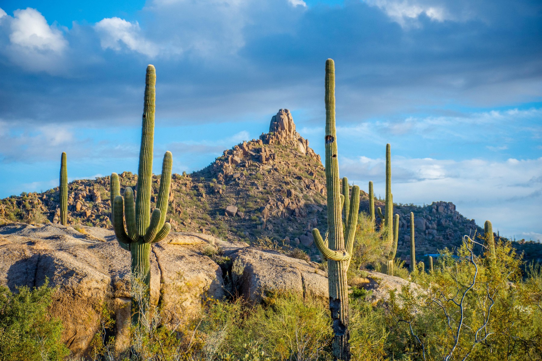  27777 N 95th Street  Scottsdale, AZ - 物件實景