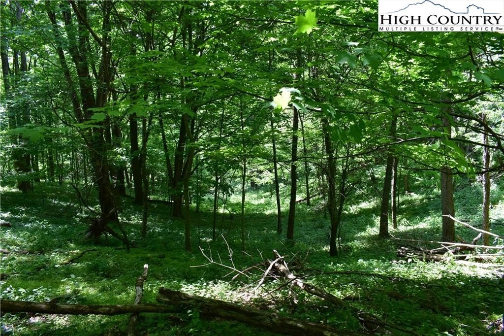 Warrensville, North Carolina, 28693, United States, ,Land,For Sale,1984173