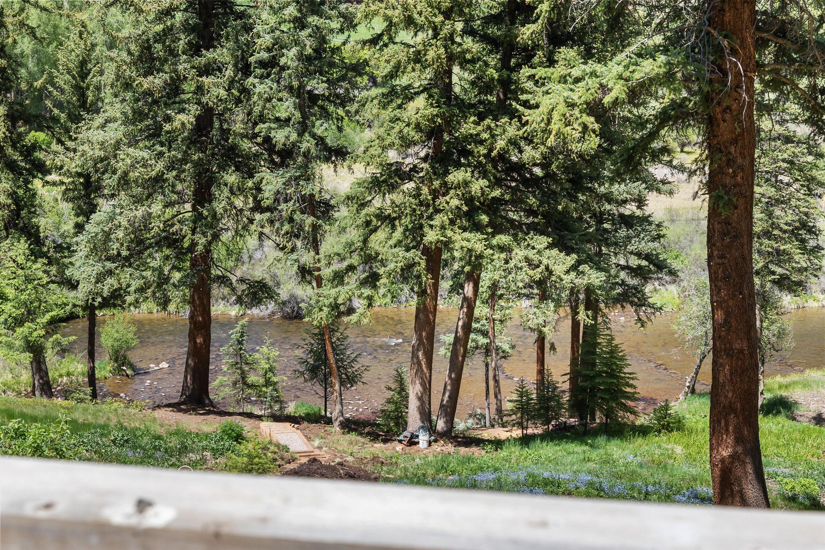  768 Kings Lake Road, Basalt, CO 81621 - 物件實景