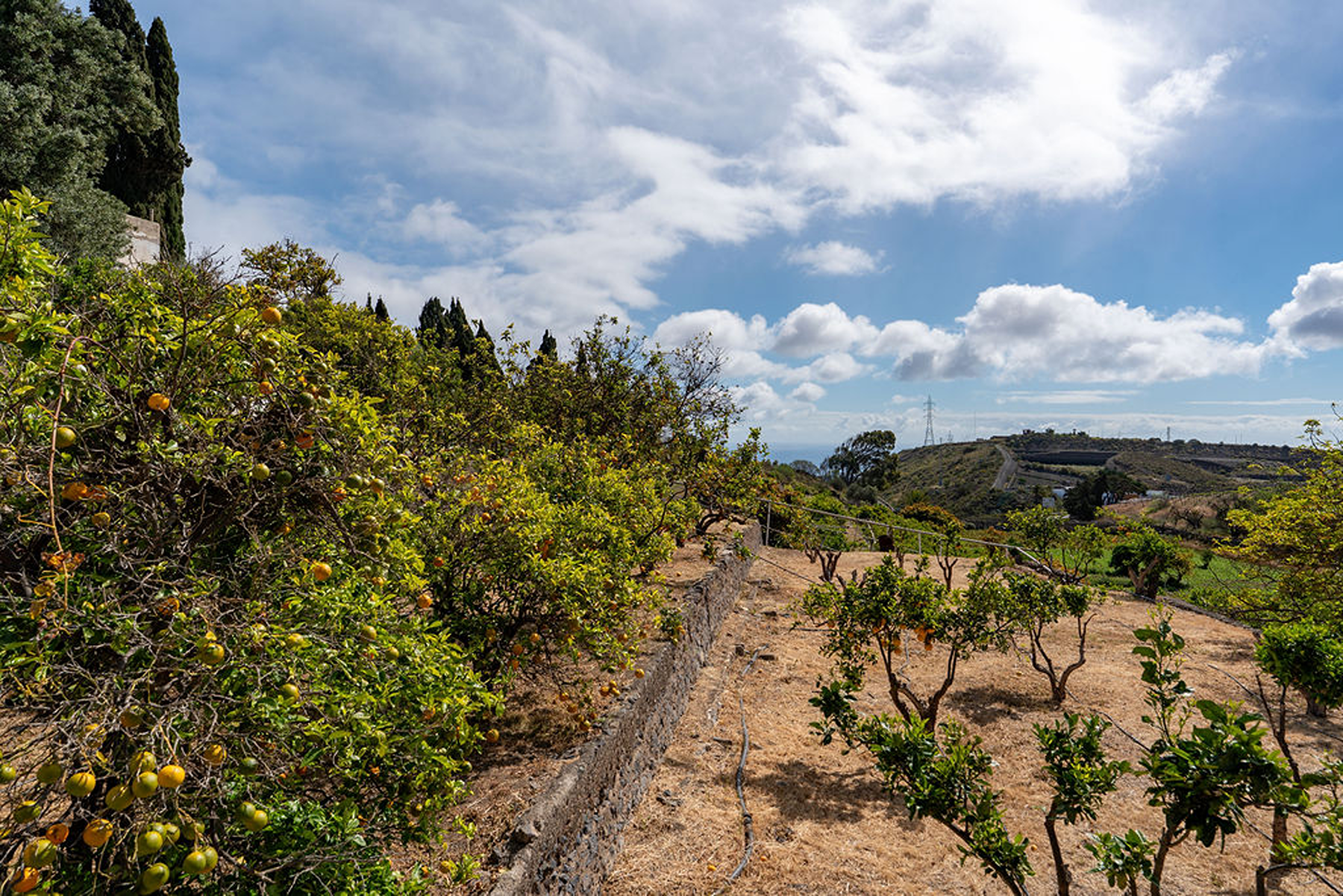  Investment opportunity and exclusive privacy in an 80,000 m² estate - 物件實景
