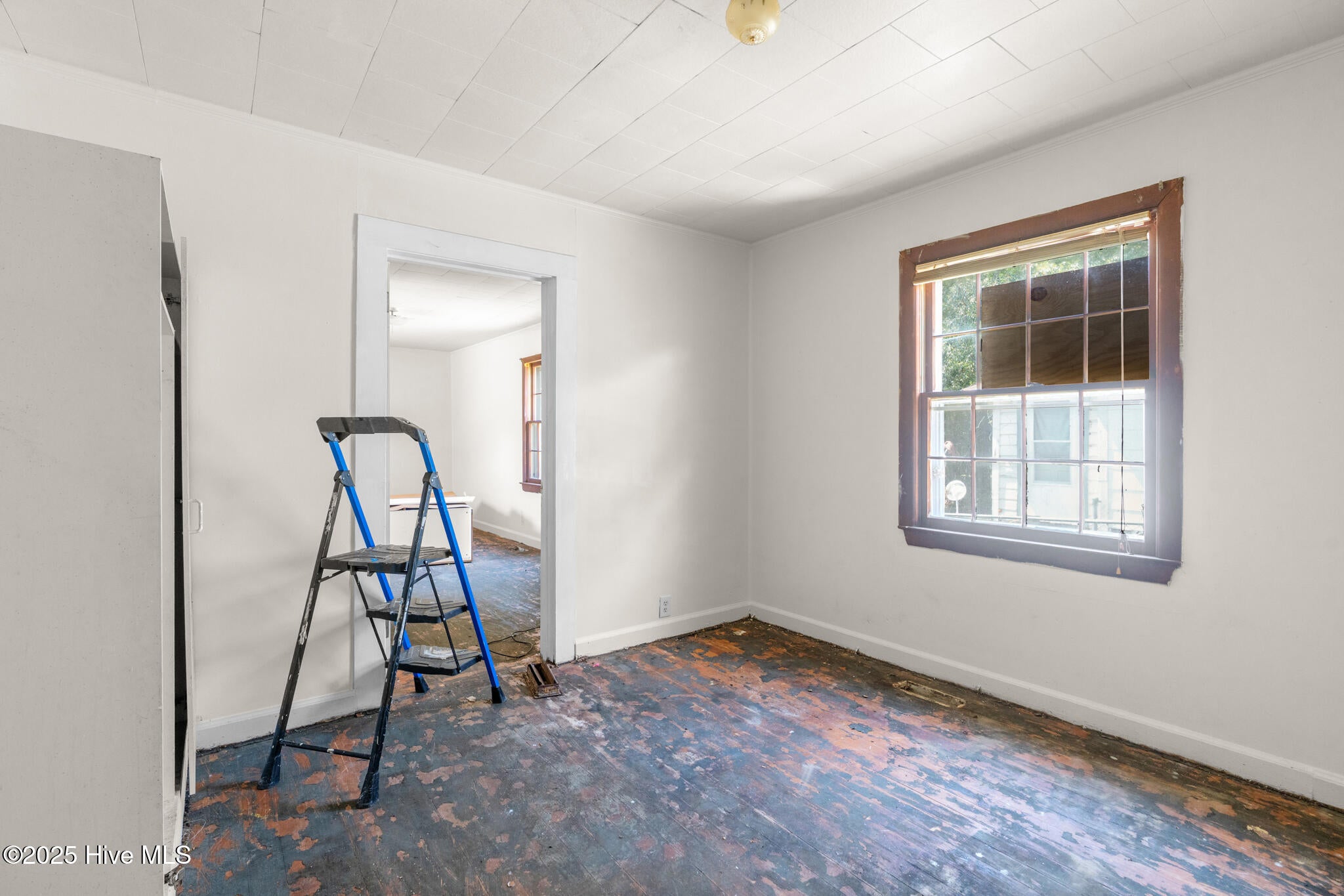 Laurinburg, North Carolina, 28352, United States, 20 Bedrooms Bedrooms, ,9 BathroomsBathrooms,Residential,For Sale,1942200