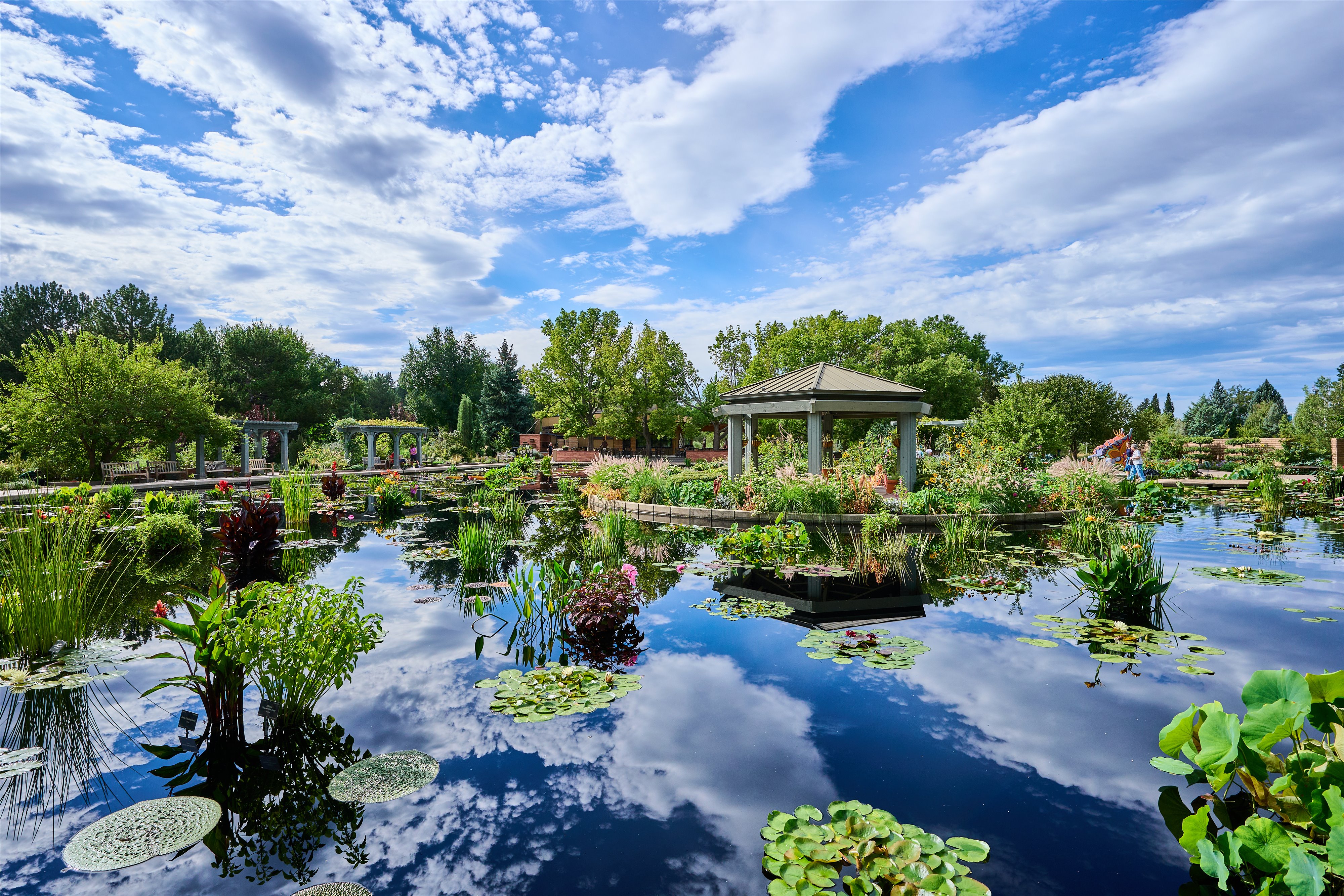  Welcome to this beautiful Victorian gem in the heart of Congress Park - 物件實景