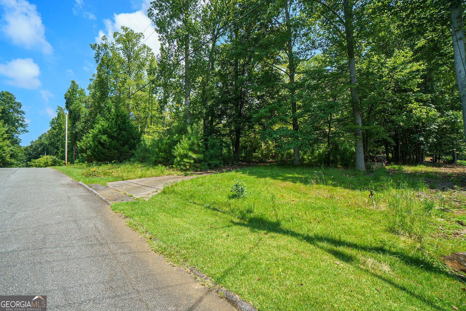 Marietta, Georgia, 30066, United States, ,Land,For Sale,1922555