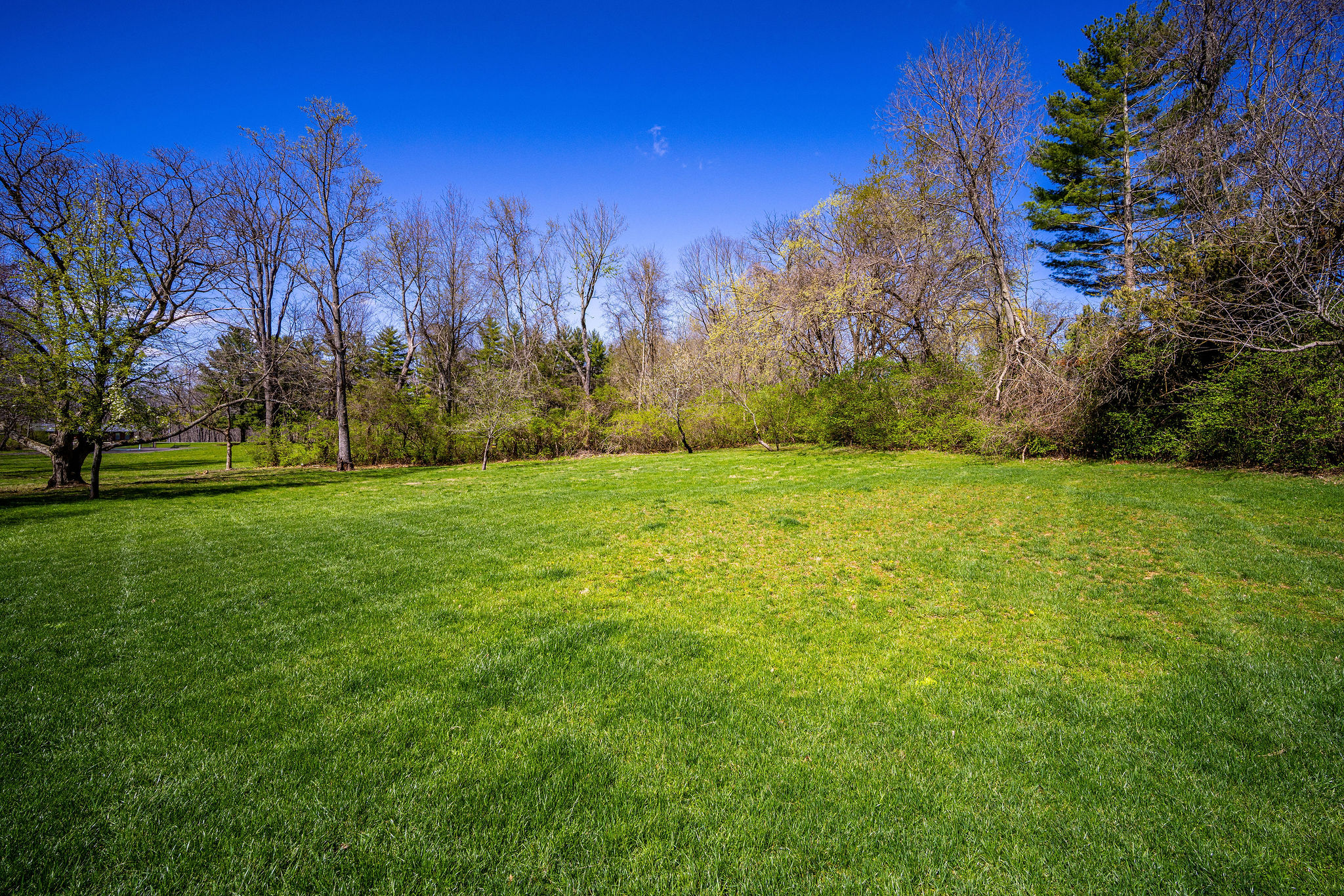 Oxford, Ohio, 45056, United States, 5 Bedrooms Bedrooms, ,4 BathroomsBathrooms,Residential,For Sale,1981733