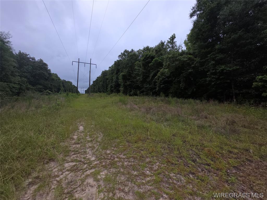 Daleville, Alabama, 36322, United States, ,Land,For Sale,1980243