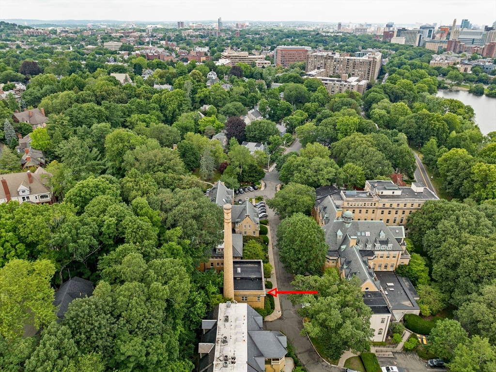 Brookline, Massachusetts, 02445, United States, 3 Bedrooms Bedrooms, ,2 BathroomsBathrooms,Residential,For Sale,1891424