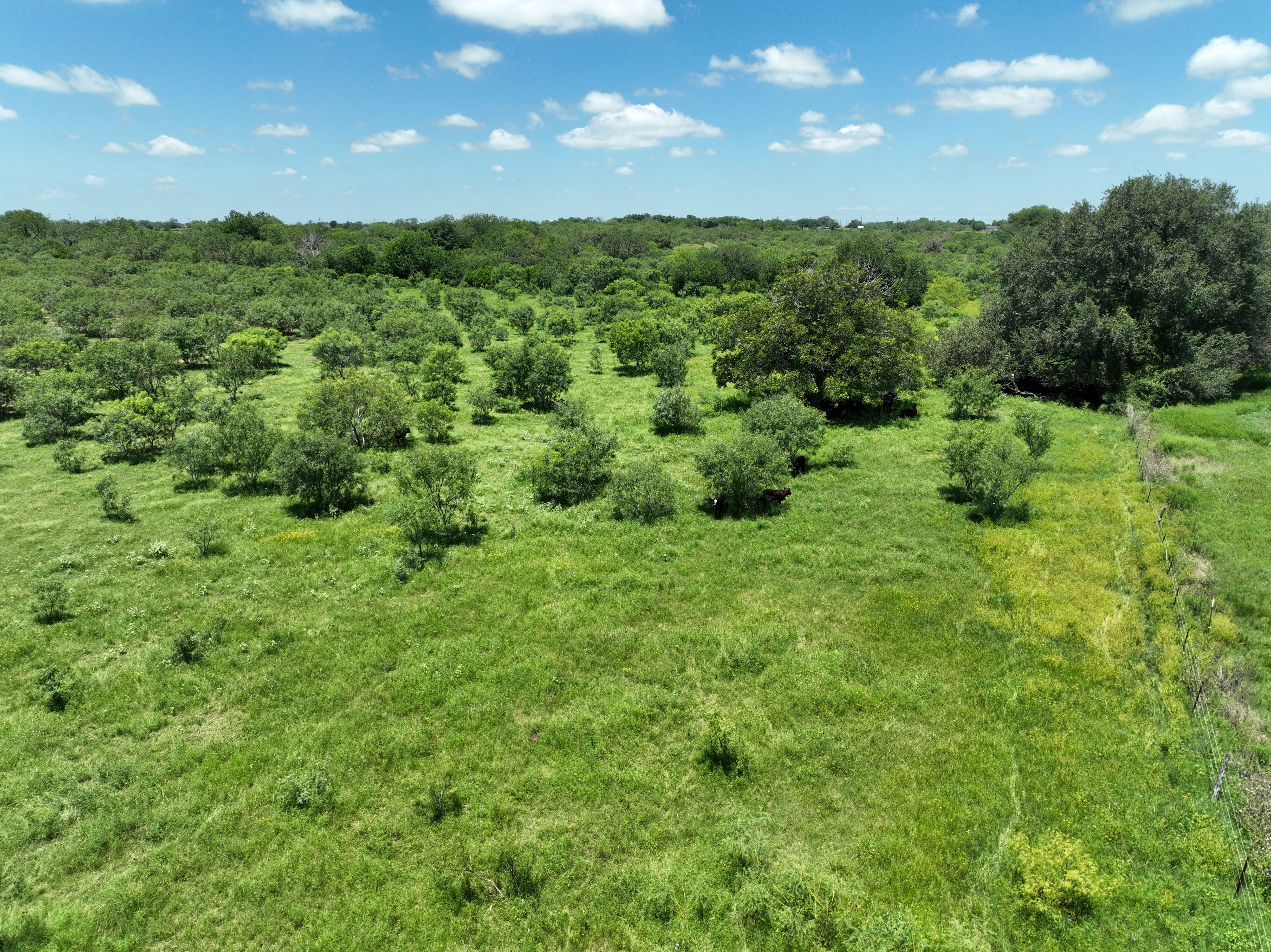  87.69+/- Acres in Bexar County - 物件實景