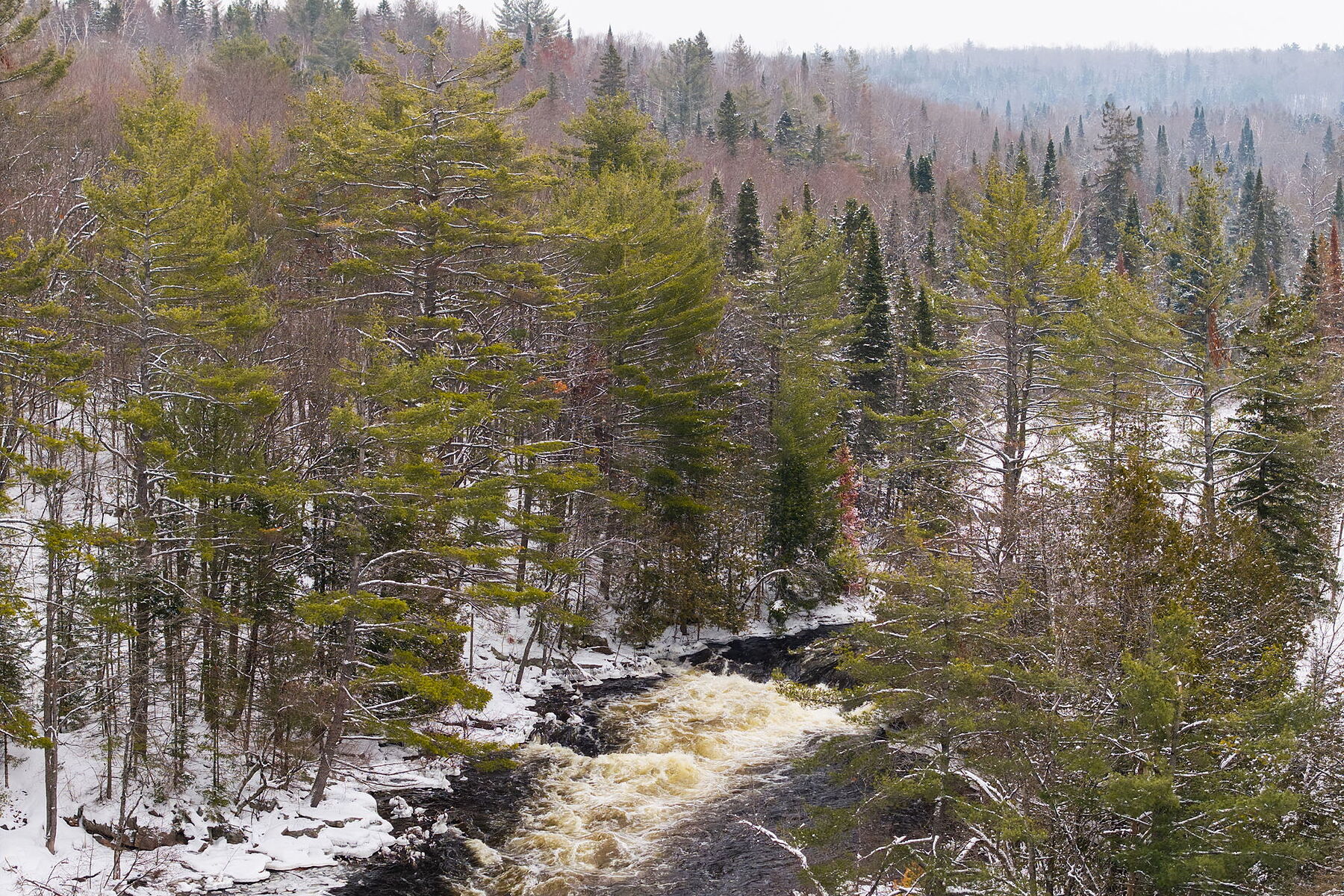  Serene Irondale River Cottage - 物件實景