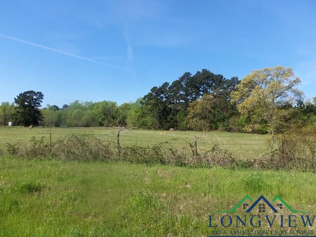 TBD U.S. HWY. 259 N., Kilgore, Texas, 75662, United States, ,Land,For Sale,TBD U.S. HWY. 259 N.,1542568