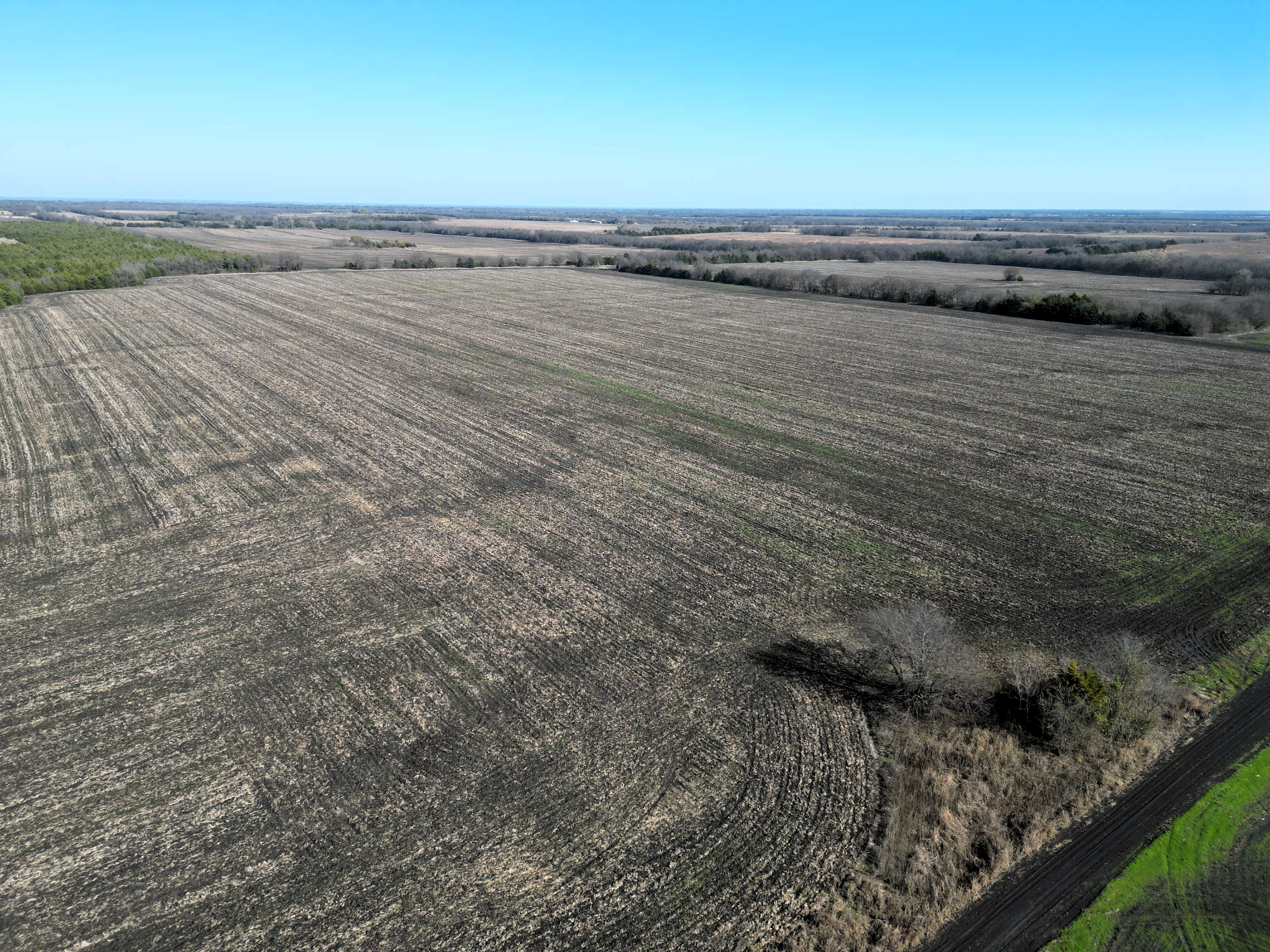 Commerce, Texas, 75428, United States, ,Land,For Sale,2001483