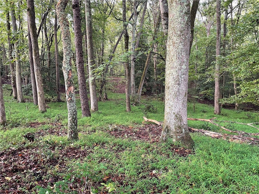 1105 Stewarts Road, Lanexa, Virginia, 23089, United States, ,Land,For Sale,1105 Stewarts Road,1632390