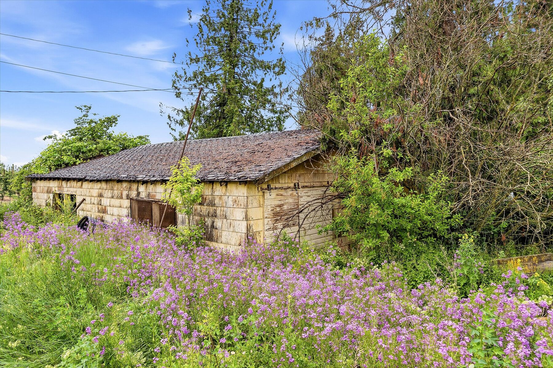  Glenmore Farm Acreage - 物件實景