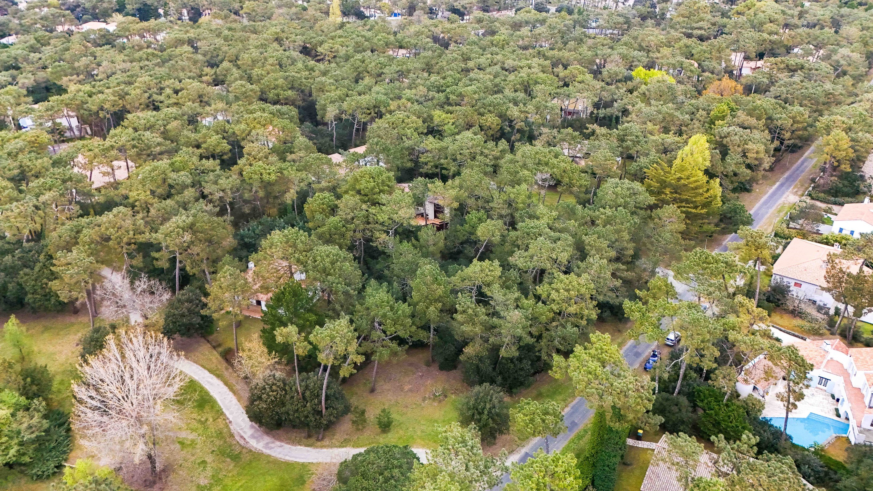  EXCEPTIONAL 1550 SQM PLOT PARK OF THE PALMYRE RESIDENCE - 物件實景