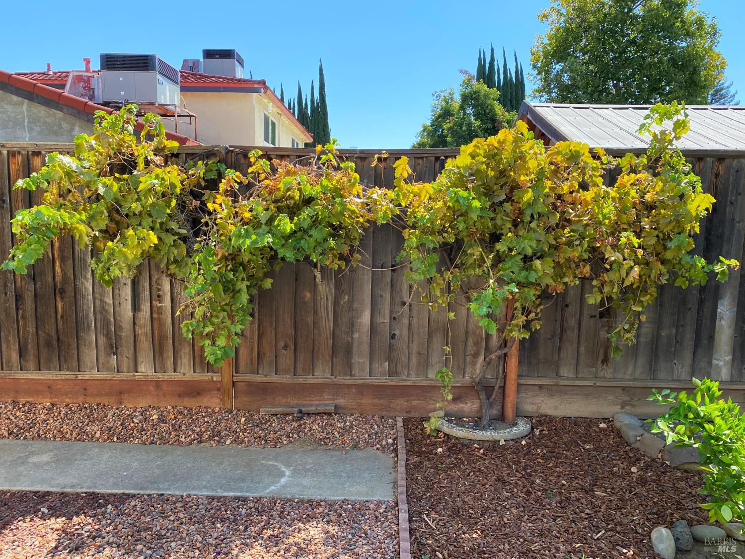 Vacaville, California, 95688, United States, 5 Bedrooms Bedrooms, ,3 BathroomsBathrooms,Residential,For Sale,1911426