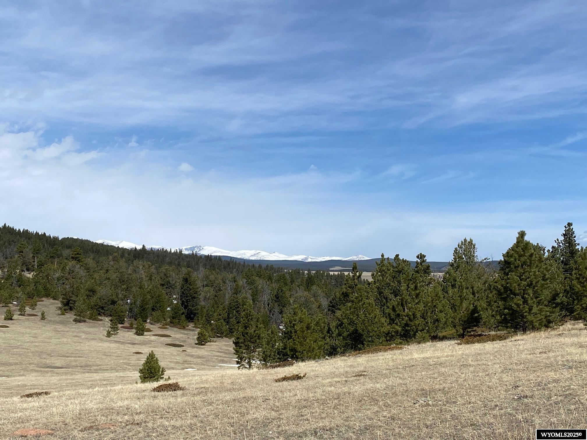Buffalo, Wyoming, 82834, United States, ,Land,For Sale,1778348