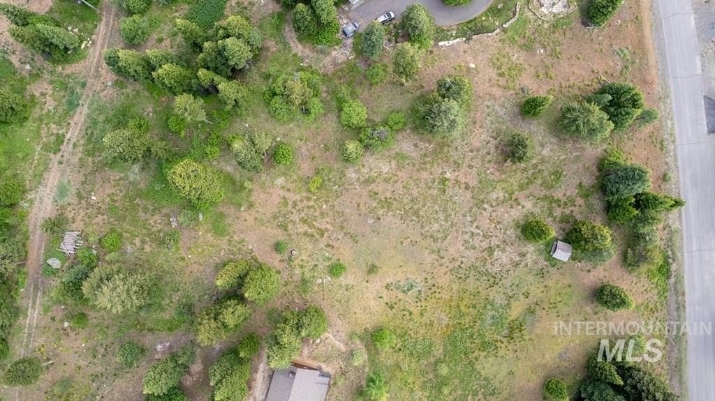 McCall, Idaho, 83638, United States, ,Land,For Sale,1983589